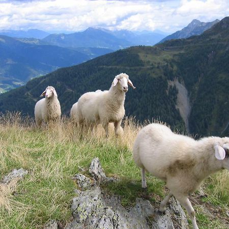 Pension Wilhelmer Sankt Lorenzen im Lesachtal Dış mekan fotoğraf