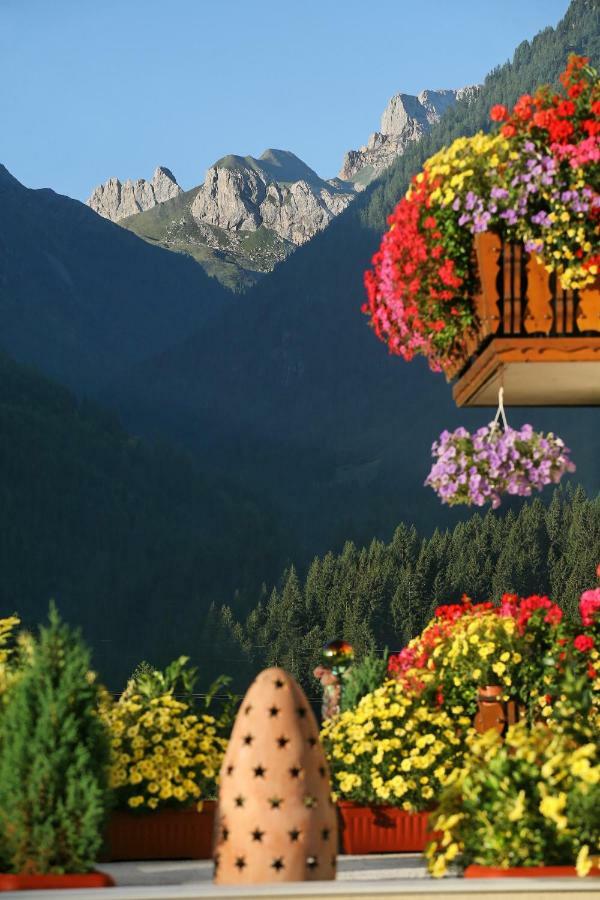 Pension Wilhelmer Sankt Lorenzen im Lesachtal Dış mekan fotoğraf